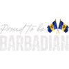 Barbadian Pride, Barbados Flag