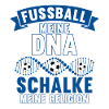 Fussball DNA Schalke