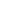 Skating Skull