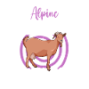Mom of a mountain goat