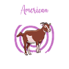 Maman d’un pygmée américain