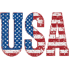 Patriotic USA Flag Distressed Print
