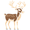 Caribou 