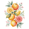 Citrons et oranges Oeuvres