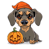 Halloween Dachshund with Pumpkin: Cartoon Illustration