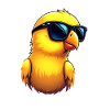 Funny bird with sunglasses