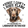 Loyal Labrador Pet Portrait