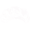 Toque