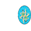 Life’s Better Upside Down Underwater Swimming