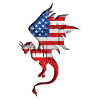 Drapeau des États-Unis - USA - Dragon
