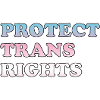 Protect Trans Rights Empowerment Design