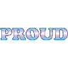Trans Pride - Transgender Flag  