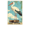Storks Stork