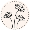 Gänseblümchen Line Art – Blumen Motiv Kreis