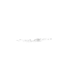 Born to Ride