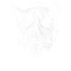 Rhinoceros