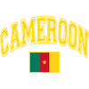 Cameroon Flag