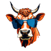 Cool bull head with sunglasses