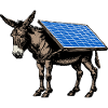 Solar - Esel - Lasttier, Packesel, Solarpanel