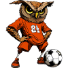 Fussball Eule