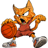 Cat Basketball