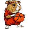 Cochon d’Inde basketteur / basketteur Meersc