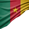 Flags of Cameroon