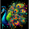 peacock