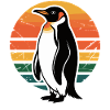 Penguin silhouette with sunset