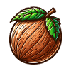 Natural Walnut Shell