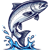 Salmon Fishing Fishing