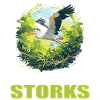 Störche Storch