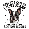 Elegantes Boston Terrier-Porträtdesign