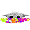 I see you!