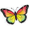 Schmetterling