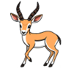 Gazelle
