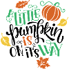 Déco Automne avec Citrouille et Feuilles