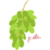 Pfälzer Traube