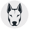 Bull terrier