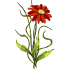 Fleur