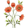 Fleur