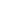 Electro Skeletons en concert