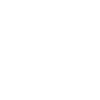 Gecko Silhouette Salamander