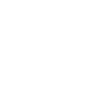 Lézard Silhouette Contrastée Salamandre