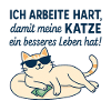 Motivational Cat Illustration with Humor
