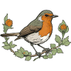 Rouge-gorge