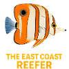 ECR Coperband