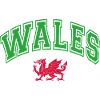 Wales Flag
