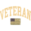 Drapeau vétéran des États-Unis