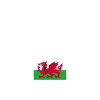 Wales Flag